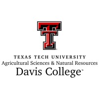 TTU Davis College