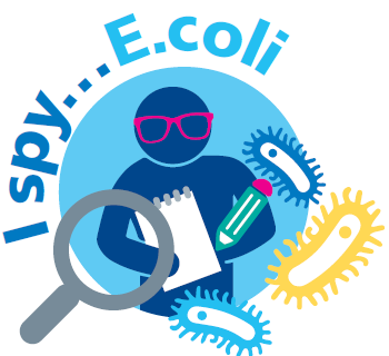Gram negative E.coli Conference 2019