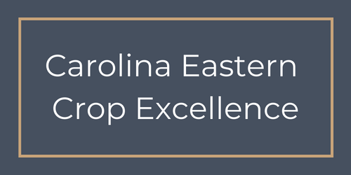 Carolina Eastern Crop Excellence