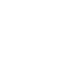 Renegade Boot Camp-NV24
