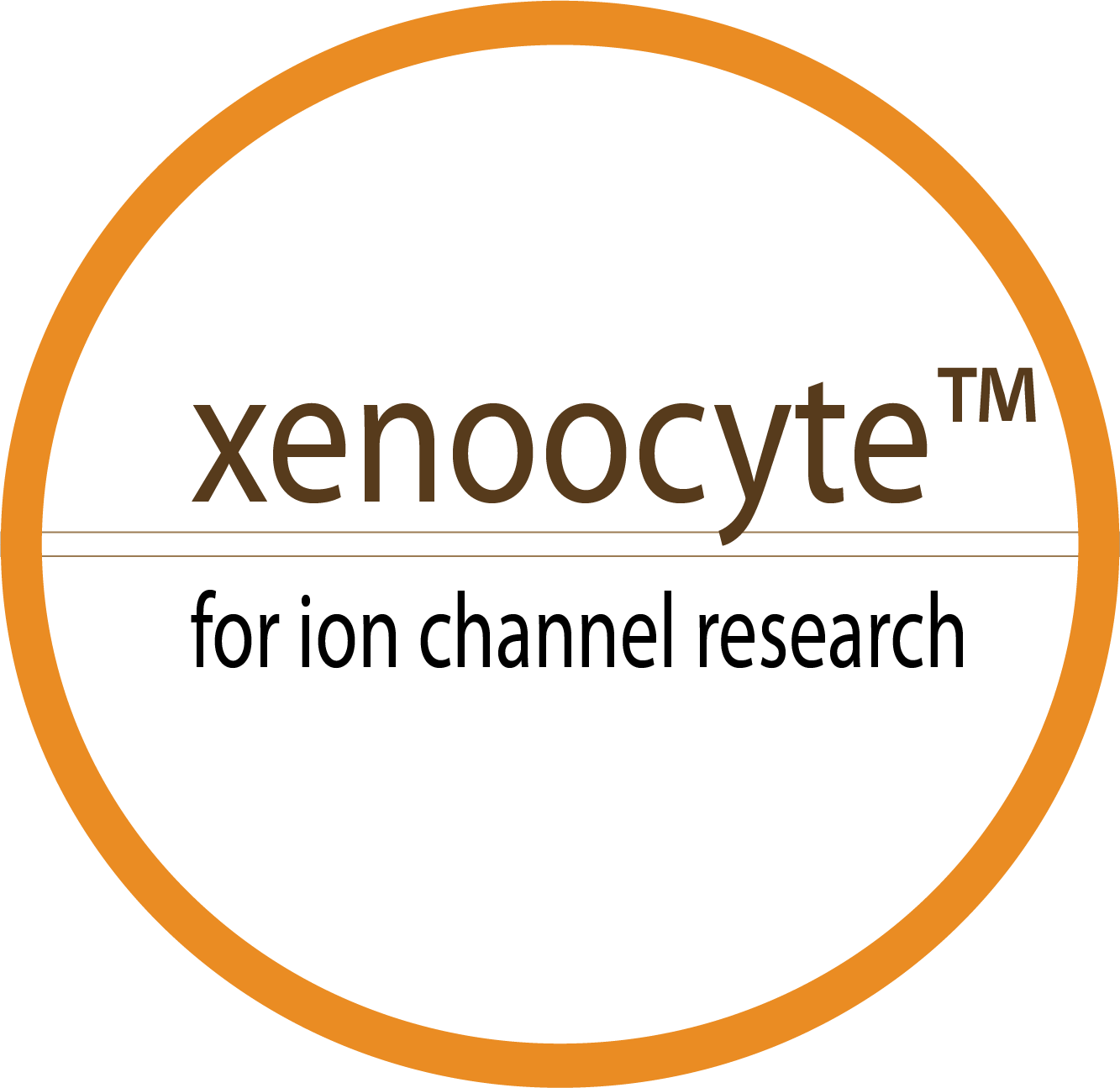 Xenocyte