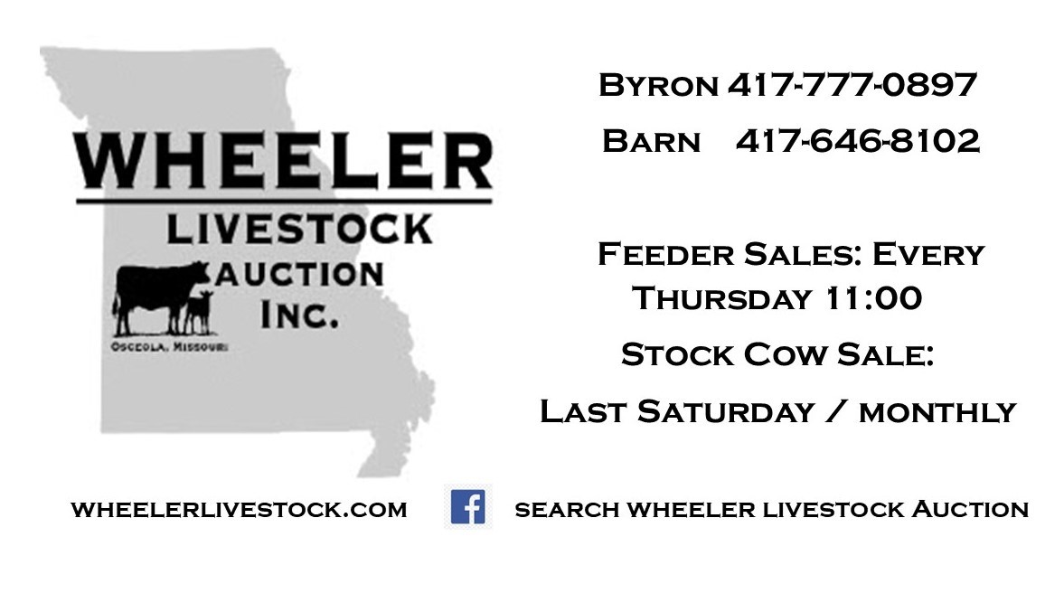 Wheeler Livestock Auction