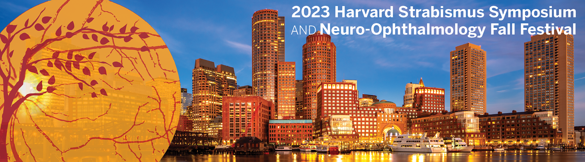 2023 Harvard Strabismus Symposium and Neuro-Ophthalmology Fall Festival